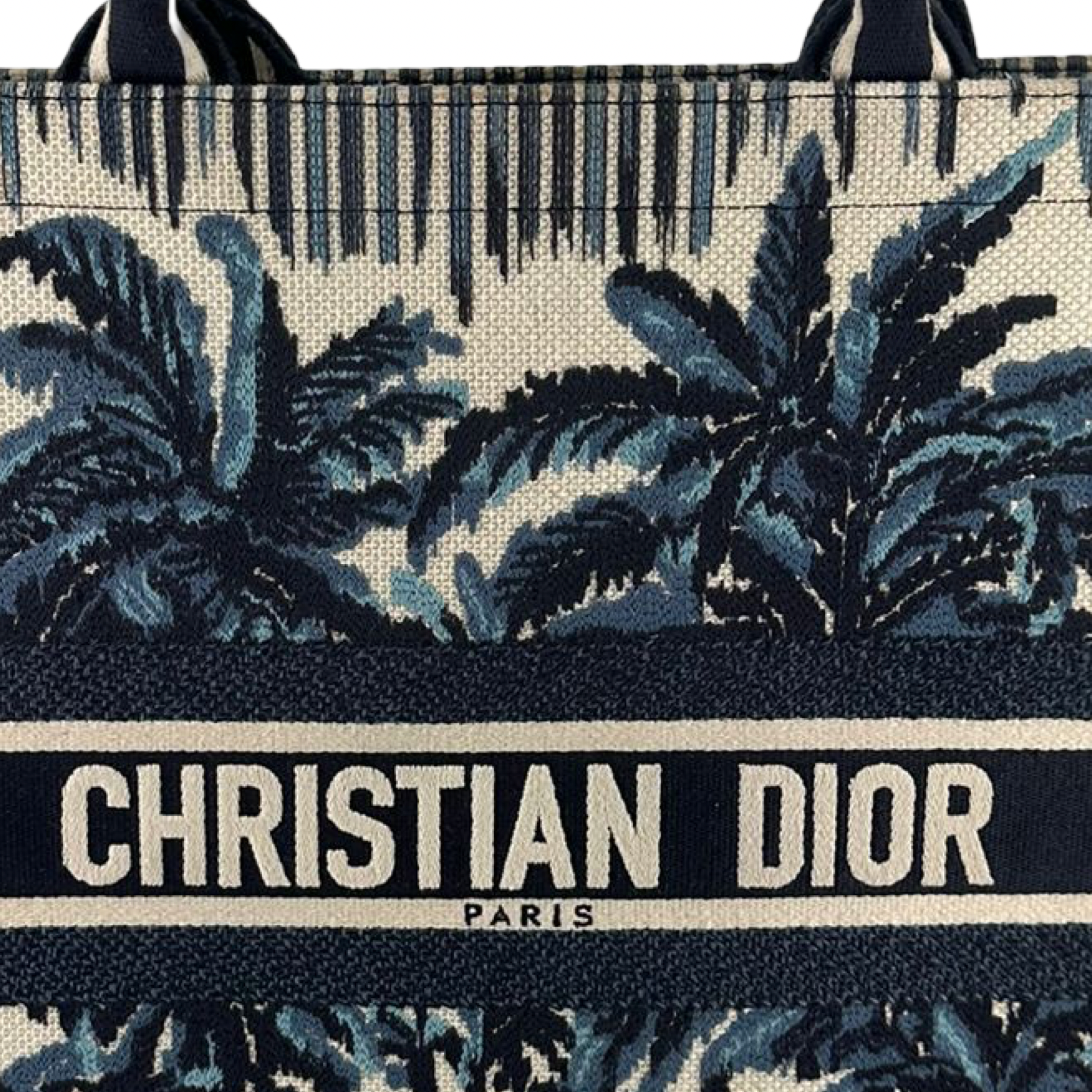 CHRISTIAN DIOR, PALM TREE
